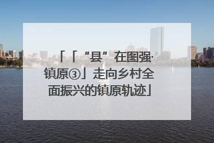「“县”在图强·镇原③」走向乡村全面振兴的镇原轨迹