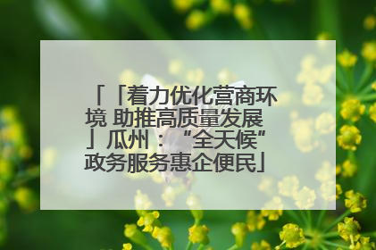 「着力优化营商环境 助推高质量发展」瓜州：“全天候”政务服务惠企便民