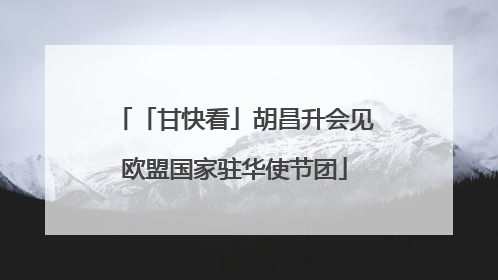 「甘快看」胡昌升会见欧盟国家驻华使节团