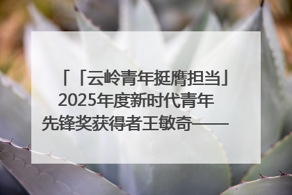 「云岭青年挺膺担当」2025年度新时代青年先锋奖获得者王敏奇——澜沧江上好渔人