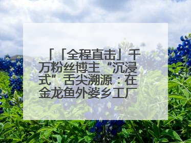 「全程直击」千万粉丝博主“沉浸式”舌尖溯源：在金龙鱼外婆乡工厂寻回记忆中