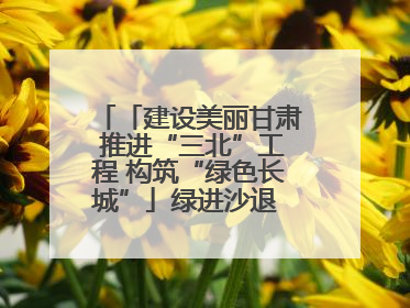 「建设美丽甘肃 推进“三北”工程 构筑“绿色长城”」绿进沙退 生态蝶变 张掖市多措并举加大防沙治沙力度