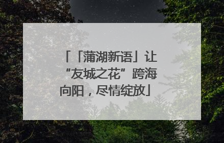 「蒲湖新语」让“友城之花”跨海向阳，尽情绽放