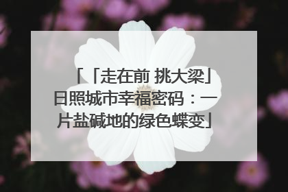 「走在前 挑大梁」日照城市幸福密码：一片盐碱地的绿色蝶变