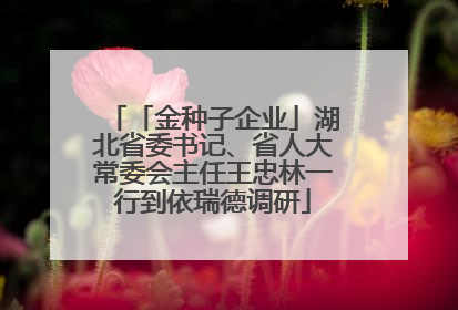 「金种子企业」湖北省委书记、省人大常委会主任王忠林一行到依瑞德调研