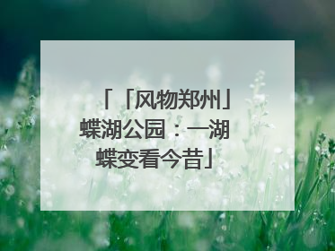 「风物郑州」蝶湖公园：一湖蝶变看今昔