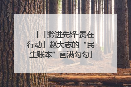 「黔进先锋·贵在行动」赵大志的“民生账本”画满勾勾