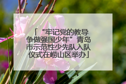 “牢记党的教导 争做强国少年”青岛市示范性少先队入队仪式在崂山区举办