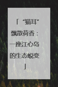 “猫耳”飘散荷香：一座江心岛的生态蜕变