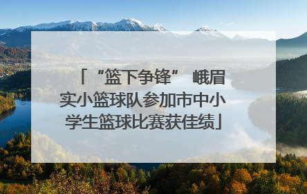 “篮下争锋” 峨眉实小篮球队参加市中小学生篮球比赛获佳绩