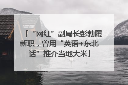 “网红”副局长彭勃履新职，曾用“英语+东北话”推介当地大米