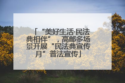 “美好生活·民法典相伴”，高邮多场景开展“民法典宣传月”普法宣传