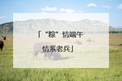 “粽”情端午 情系老兵