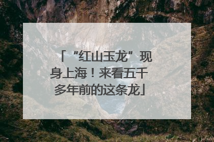 “红山玉龙”现身上海！来看五千多年前的这条龙