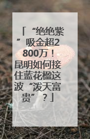 “绝绝紫”吸金超2800万！昆明如何接住蓝花楹这波“泼天富贵”？