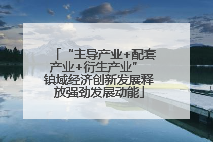 “主导产业+配套产业+衍生产业” 镇域经济创新发展释放强劲发展动能