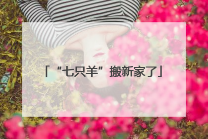 “七只羊”搬新家了