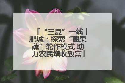 “三夏”一线丨肥城：探索“菌果蔬”轮作模式 助力农民增收致富