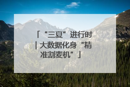 “三夏”进行时｜大数据化身“精准割麦机”