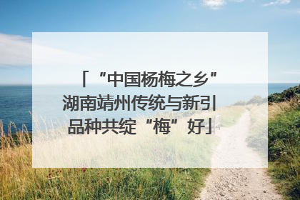 “中国杨梅之乡”湖南靖州传统与新引品种共绽“梅”好