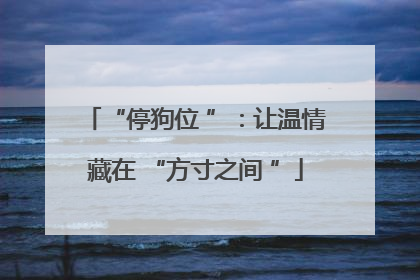 “停狗位 ”：让温情藏在 “方寸之间 ”