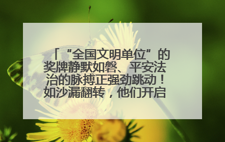 “全国文明单位”的奖牌静默如磐、平安法治的脉搏正强劲跳动！如沙漏翻转，他们开启了全新的计时