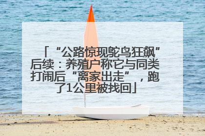 “公路惊现鸵鸟狂飙”后续：养殖户称它与同类打闹后“离家出走”，跑了1公里被找回
