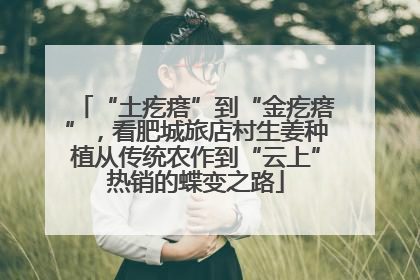 “土疙瘩”到“金疙瘩”，看肥城旅店村生姜种植从传统农作到“云上”热销的蝶变之路