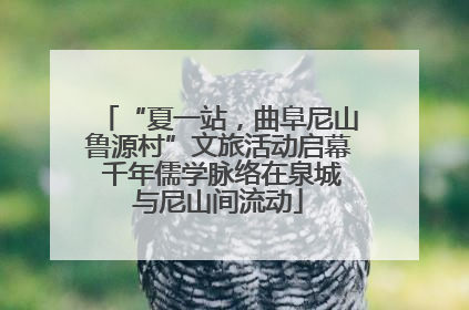 “夏一站，曲阜尼山鲁源村”文旅活动启幕 千年儒学脉络在泉城与尼山间流动