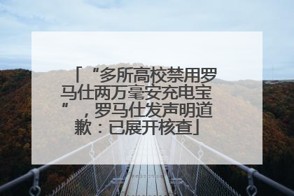 “多所高校禁用罗马仕两万毫安充电宝”，罗马仕发声明道歉：已展开核查