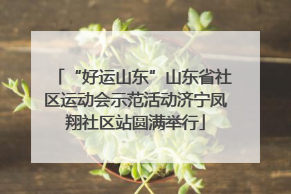 “好运山东”山东省社区运动会示范活动济宁凤翔社区站圆满举行