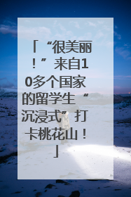 “很美丽！”来自10多个国家的留学生“沉浸式”打卡桃花山！