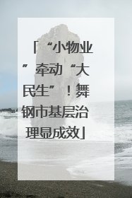 “小物业”牵动“大民生”！舞钢市基层治理显成效