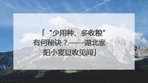 “少用种、多收粮”有何秘诀？——湖北襄阳小麦夏收见闻