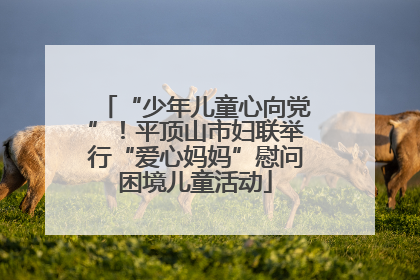 “少年儿童心向党”！平顶山市妇联举行“爱心妈妈”慰问困境儿童活动