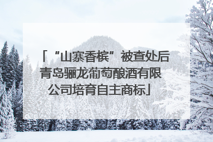 “山寨香槟”被查处后 青岛骊龙葡萄酿酒有限公司培育自主商标