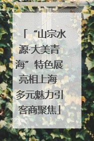 “山宗水源·大美青海”特色展亮相上海 多元魅力引客商聚焦