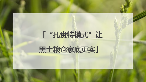 “扎赉特模式”让黑土粮仓家底更实