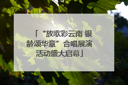 “放歌彩云南 银龄颂华章”合唱展演活动盛大启幕