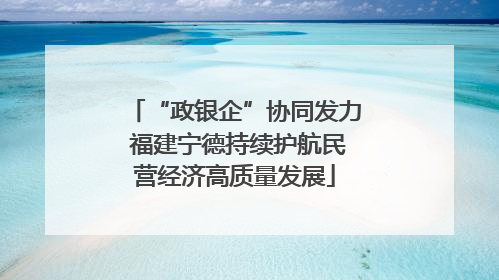 “政银企”协同发力 福建宁德持续护航民营经济高质量发展