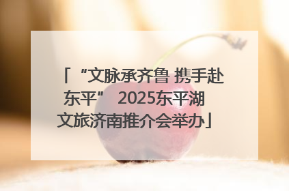 “文脉承齐鲁 携手赴东平” 2025东平湖文旅济南推介会举办