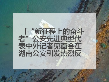 “新征程上的奋斗者”公安先进典型代表中外记者见面会在湖南公安引发热烈反响(二)