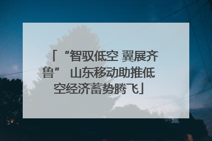 “智驭低空 翼展齐鲁” 山东移动助推低空经济蓄势腾飞