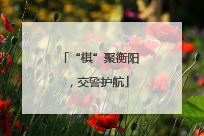 “棋”聚衡阳，交警护航