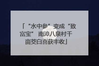 “水中参”变成“致富宝” 南漳八泉村千亩茭白喜获丰收