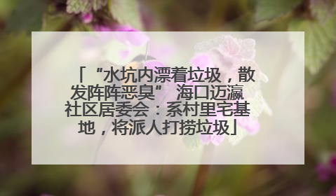 “水坑内漂着垃圾，散发阵阵恶臭” 海口迈瀛社区居委会：系村里宅基地，将派人打捞垃圾