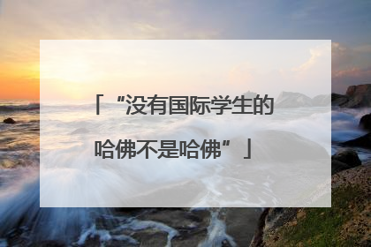 “没有国际学生的哈佛不是哈佛”