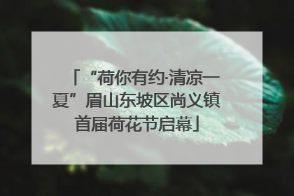 “荷你有约·清凉一夏”眉山东坡区尚义镇首届荷花节启幕