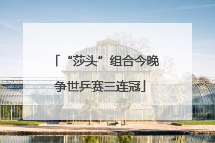 “莎头”组合今晚争世乒赛三连冠