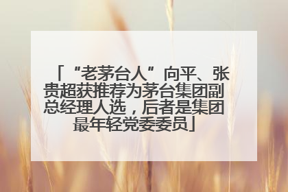 “老茅台人”向平、张贵超获推荐为茅台集团副总经理人选，后者是集团最年轻党委委员
